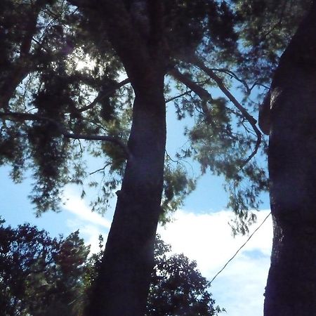 לוס אנג'לס Woodland Hills Calabasas Guesthouses מראה חיצוני תמונה